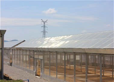 좋은 가격 BIPV 온실 태양계 500KW 에너지 효과 영화 덮개 관례 깊이 온라인으로