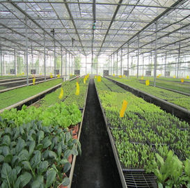 좋은 가격 5kw 온실 태양계 지상 산 10-60° 경사 각 간격 2.0mm/2.5mm 온라인으로