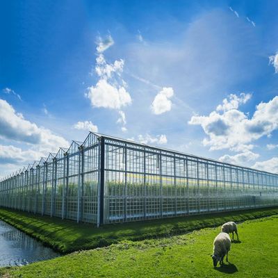좋은 가격 다중 목적 500KW BIPV 온실 태양계 온라인으로