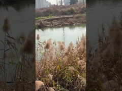 MPPT 컨트롤러와 함께 3 인치 DC 잠수 깊은 우물 물 펌프